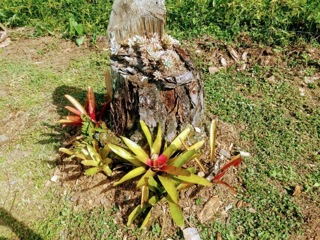 Chale Vale Das Flores - Visconde De Maua Rj Kültér fotó