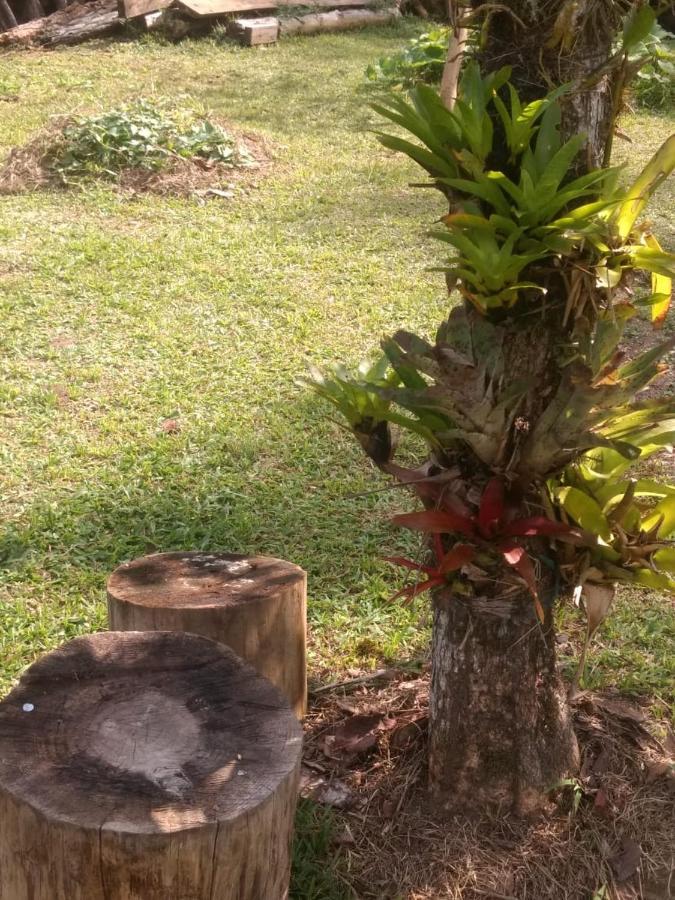 Chale Vale Das Flores - Visconde De Maua Rj Kültér fotó